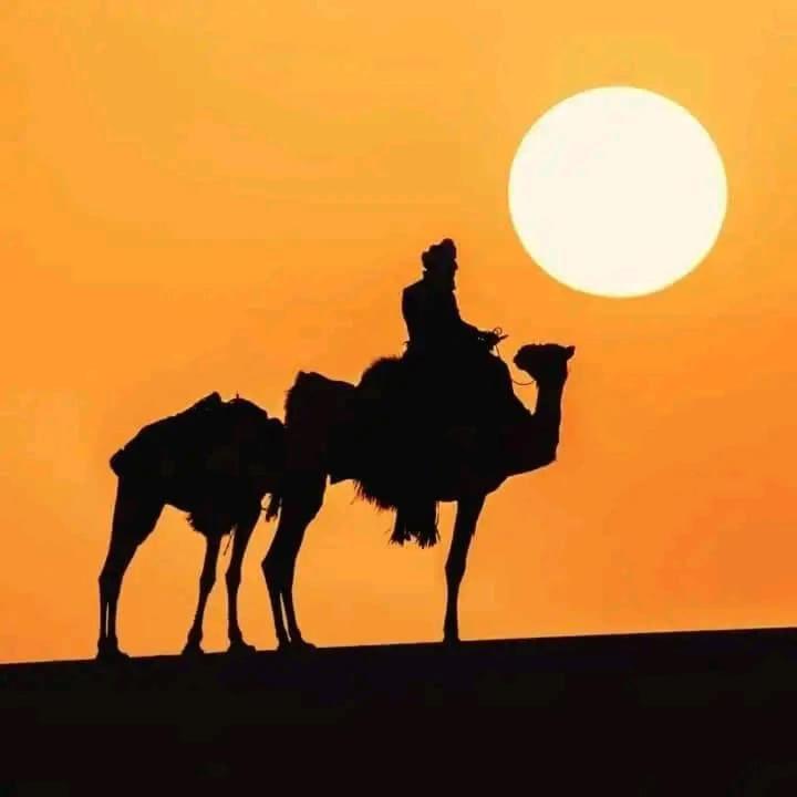 Restcamp Ergchebbi Hotel Merzouga Eksteriør billede